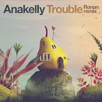 Anakelly — Trouble (Ronan Remix) — обложка